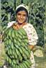 Muz.jpeg (2867 bytes)