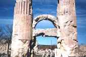 _thumb~5.jpeg (4040 bytes)